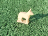 CHIEN IND NATURELLE NEW