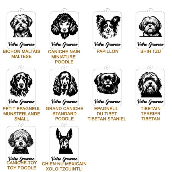 Planche contact AGREMENT 2 Planche contact AGREMENT 2