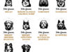 Planche contact BOUVIER 2