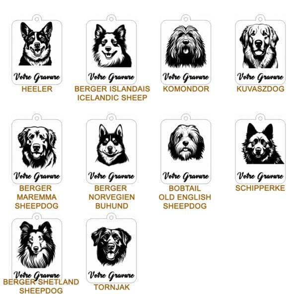 Planche contact BOUVIER 2 Planche contact BOUVIER 2