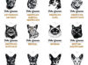 Planche contact-CHAT 1