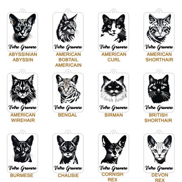 Planche contact-CHAT 1 Planche contact-CHAT 1