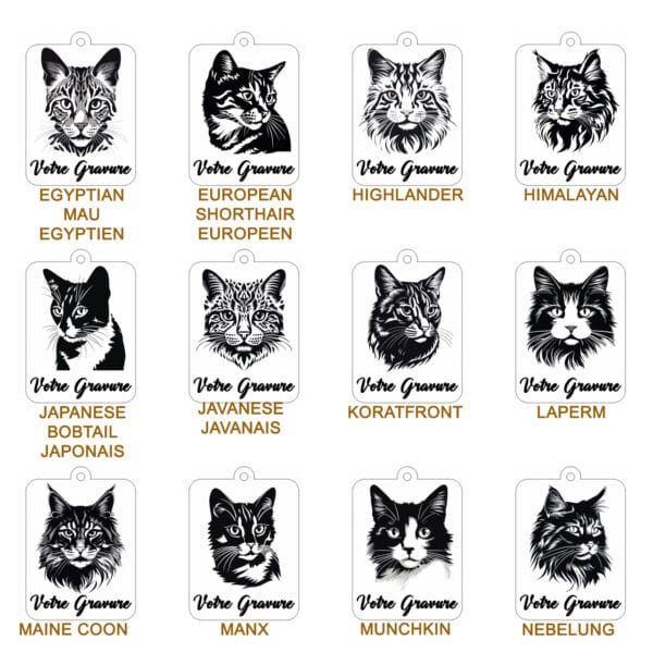 Planche contact CHAT 2 Planche contact CHAT 2