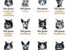 Planche contact-CHAT 3