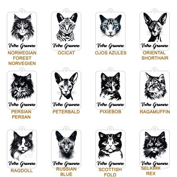 Planche contact-CHAT 3 Planche contact-CHAT 3