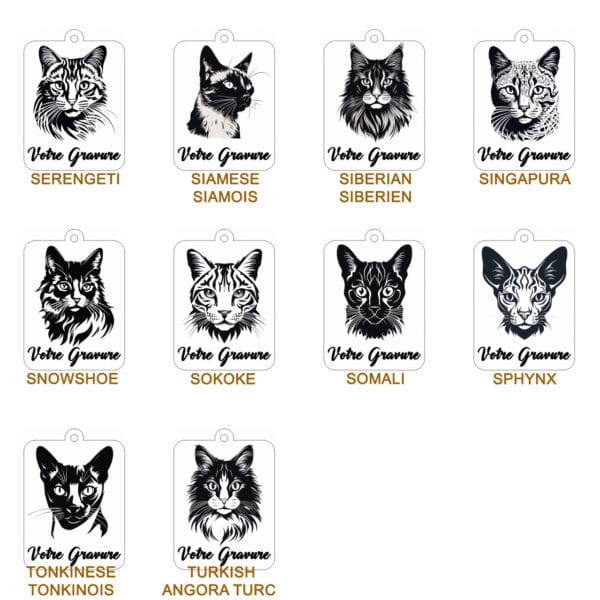 Planche contact-CHAT 4 Planche contact-CHAT 4