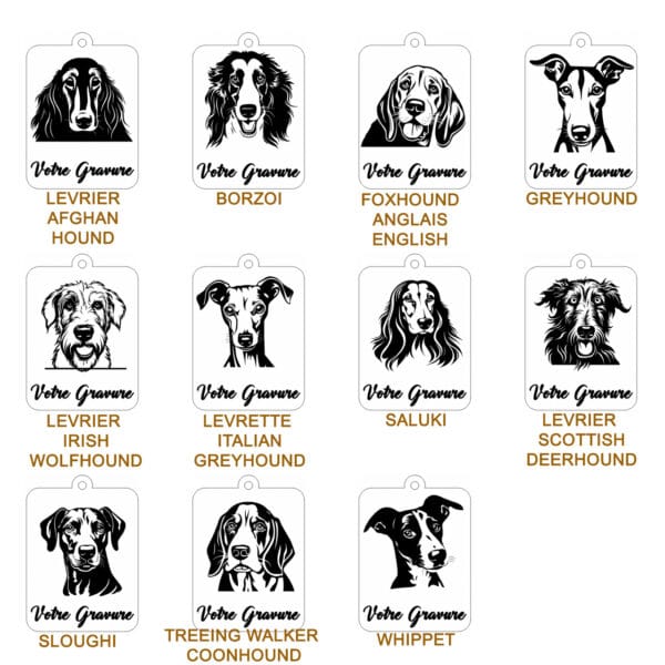 Planche contact-LEVRIER Planche contact-LEVRIER