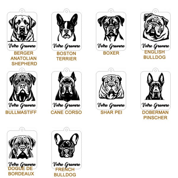 Planche contact MOLO 1psd Planche contact MOLO 1psd