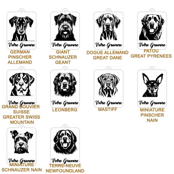 Planche contact MOLO 2 Planche contact MOLO 2