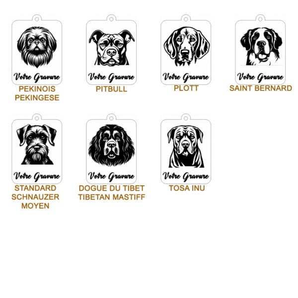 Planche contact MOLO 3 Planche contact MOLO 3