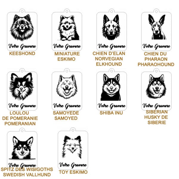 Planche contact NORDIQUE 2 Planche contact NORDIQUE 2