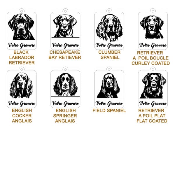 Planche contact RAPPORTEUR 1 Planche contact RAPPORTEUR 1