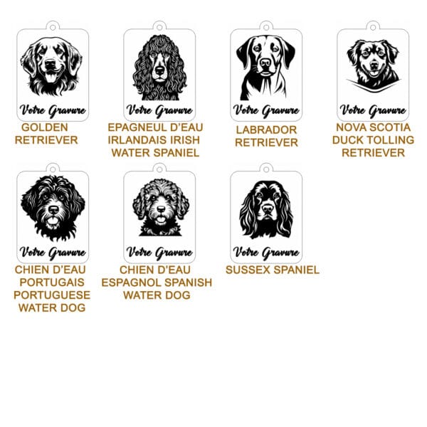 Planche contact RAPPORTEUR 2 Planche contact RAPPORTEUR 2