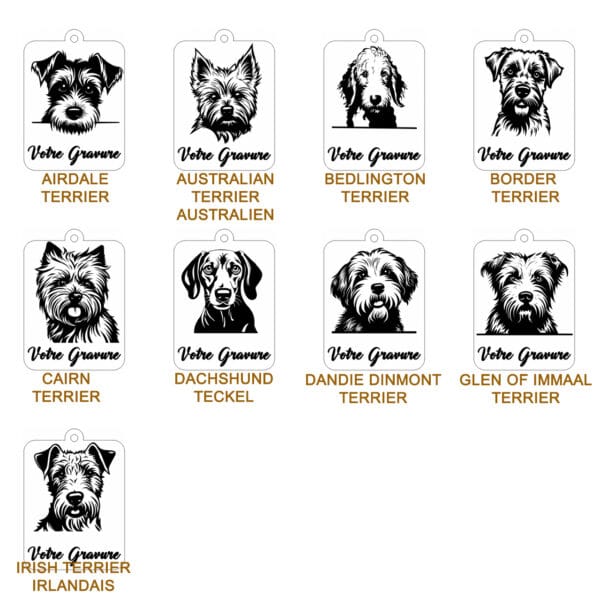 Planche contact TERRIER 1 Planche contact TERRIER 1