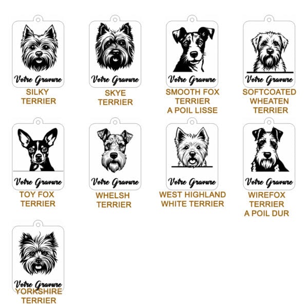 Planche contact TERRIER 3 Planche contact TERRIER 3