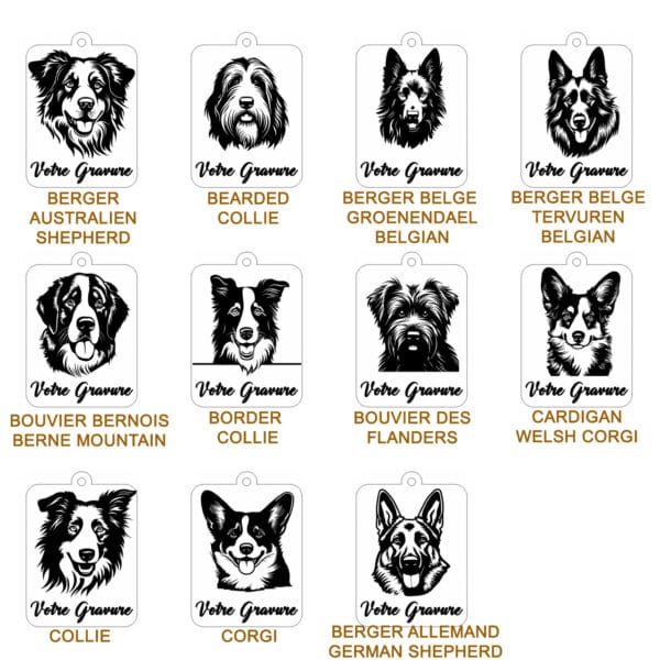 Planche contact-bouvier 1 Planche contact-bouvier 1