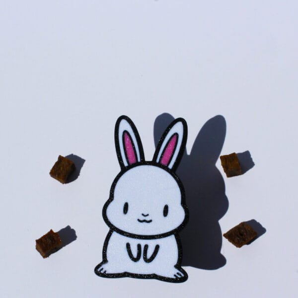 Rabbbit Seul lapin seul
