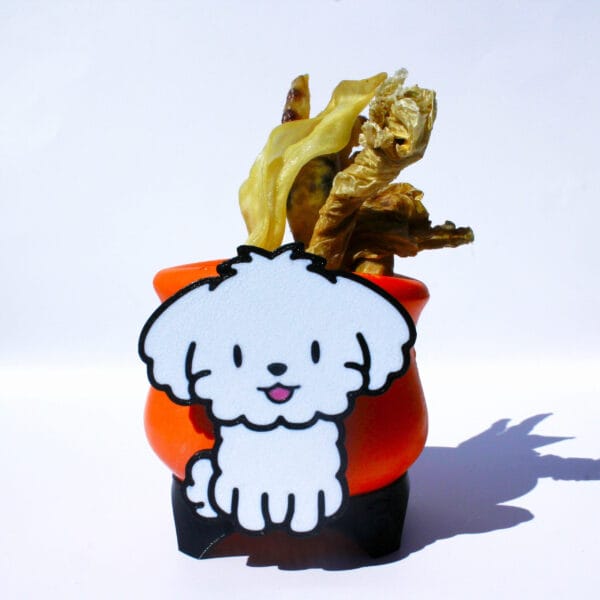 Chien Toopl S Chien Toopl S