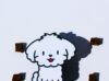 Chien seul
